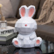 几何兔存钱罐摆件只进不出2022年家用新款 生肖兔S大容量成人储蓄