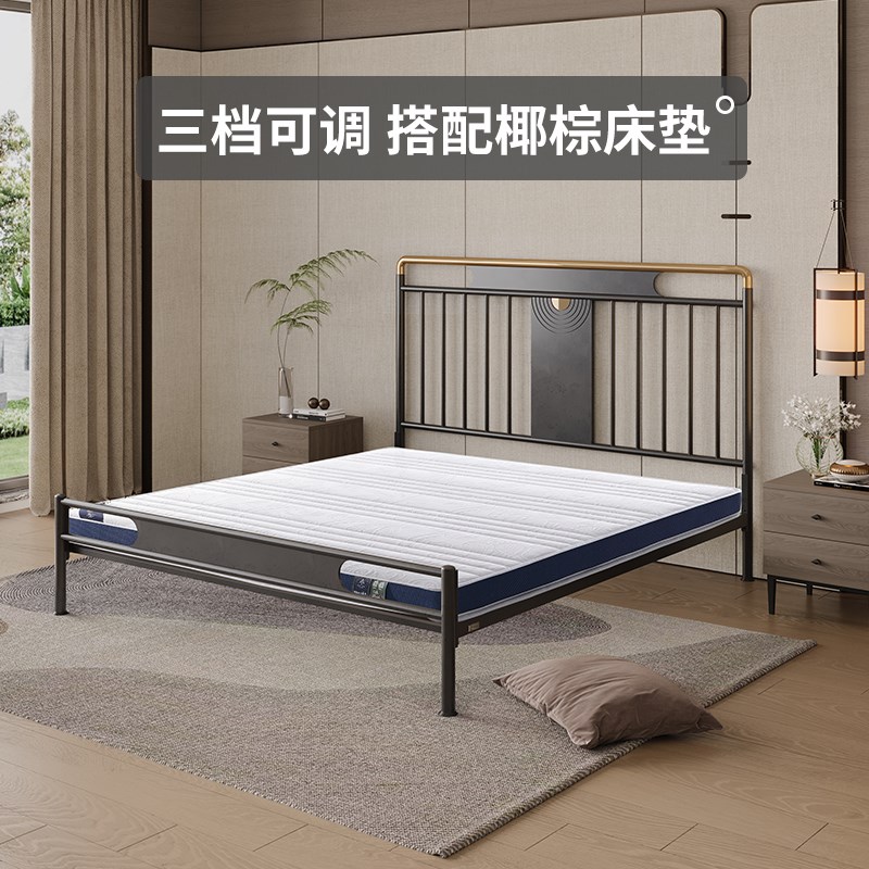 天坛家具现代简约双人铁床豪华加厚加固铁架床中式复古风铁艺床