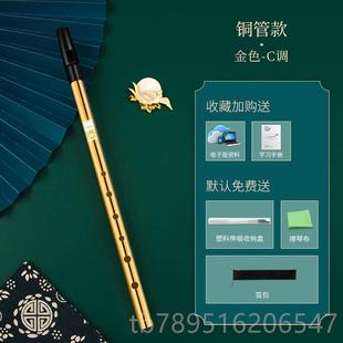 高档DB者AO 爱尔哨笛初学入门金调属笛子6孔兰C调D高低音直笛竖笛