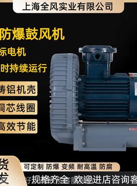 FB-2粉尘防爆压风真机2.2KW高变612频隔爆旋涡鼓机CT4B风T4空式风