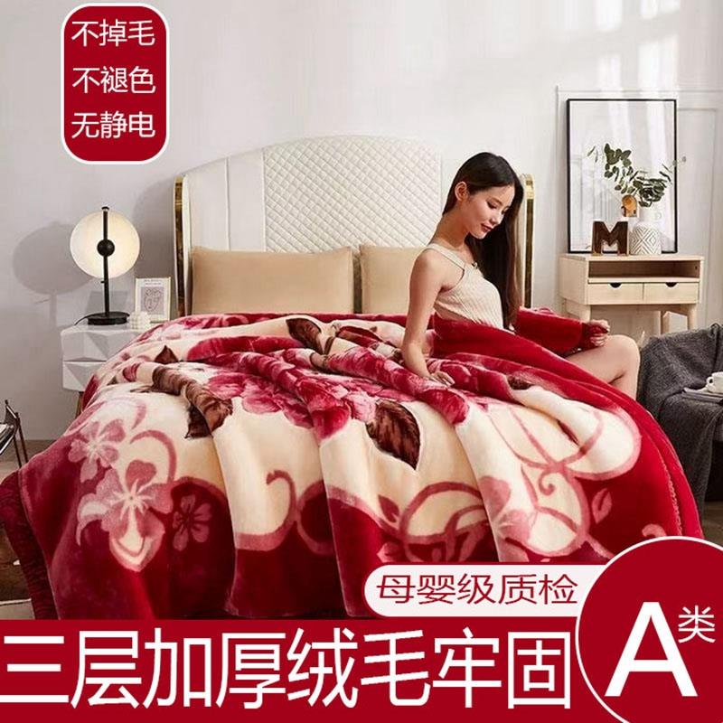 拉舍尔毛毯加厚盖毯子冬季厚被子床单人宿舍学生珊瑚法兰绒毯双层