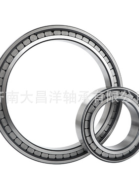 SL183072-TB SL183076-TB 大载荷型单列满装圆柱滚子单向定位轴承