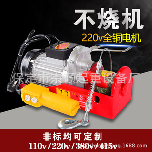 卷扬机微型电动葫芦钢丝绳起重机多功能提升机家用220v小型吊机