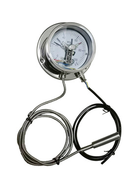 毛细管温度计压力式电接点温度表温度开关WTYX-100 100°C工厂供