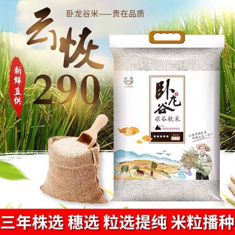 卧龙谷云恢290原谷软米10kg 云南大米 松松软软颗颗分明
