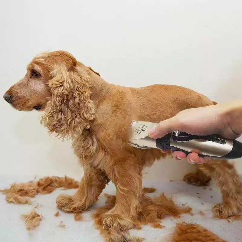狗狗专用专业电推剪泰迪猫狗通用
