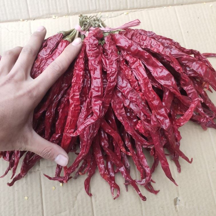 【贵州特产】自然晒干皱皮辣椒长辣椒二荆条红辣椒干辣椒微辣特香