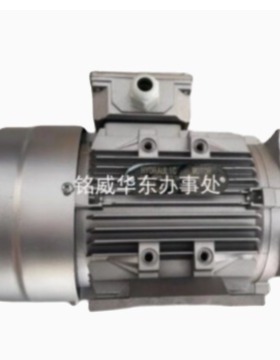 NOSCH电机马达YZL100-10 YZL132-10 YZL112-12 YSF802-4/100-10