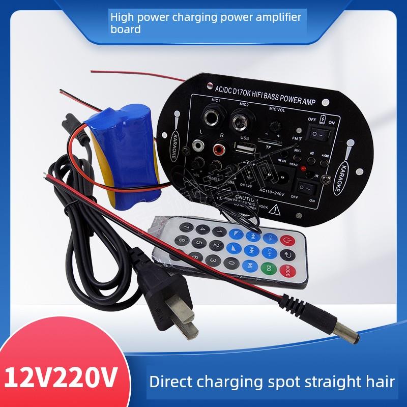 车载低音炮充电功放板 志城音响主板电池便携音箱配件12V220V蓝牙