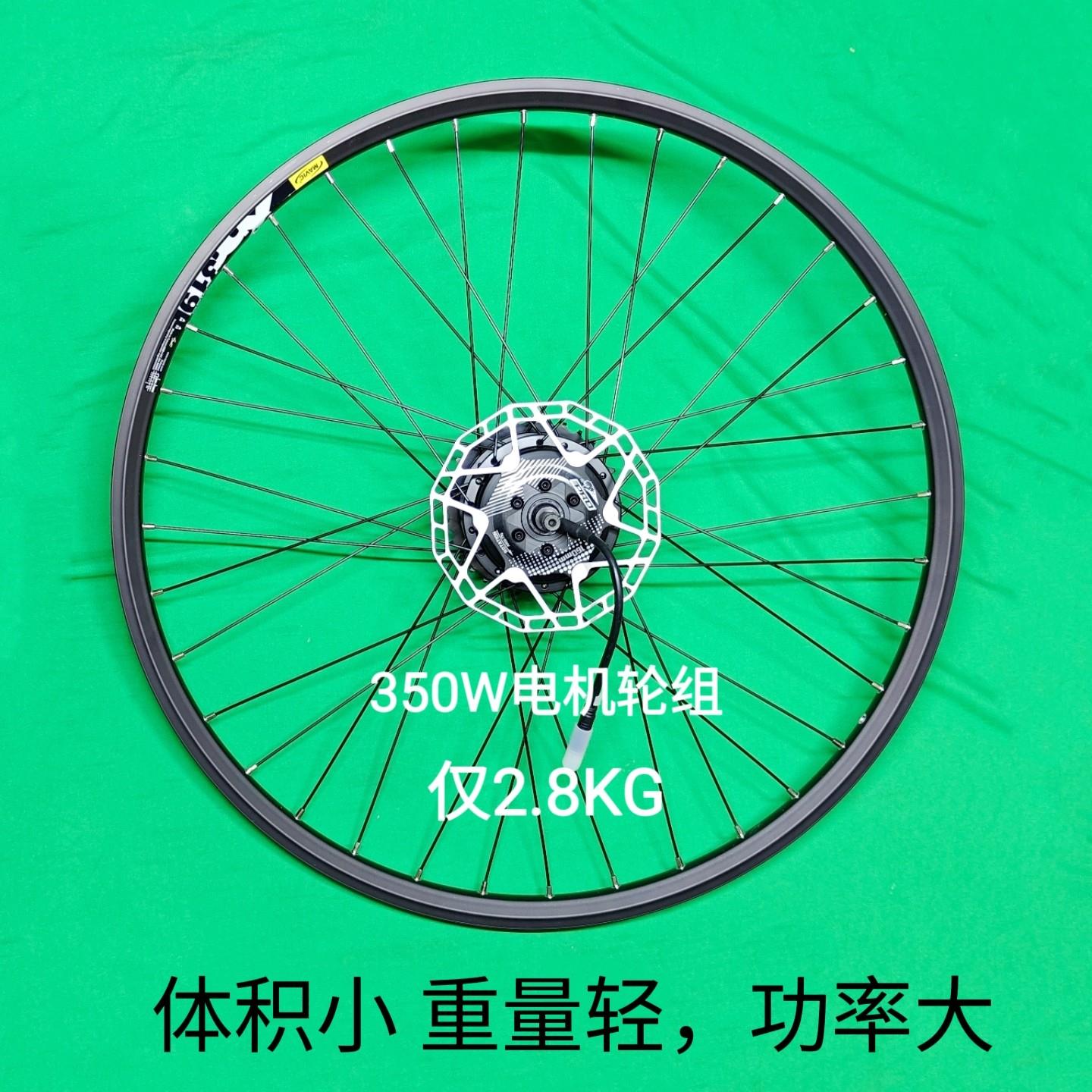 微型轻小升级版力矩助力车电动车内转子高速防水电机轮组36v48v