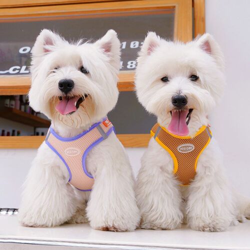 狗狗牵引绳透气胸背带小型犬背心式胸H背带比熊柯基泰迪遛狗绳子