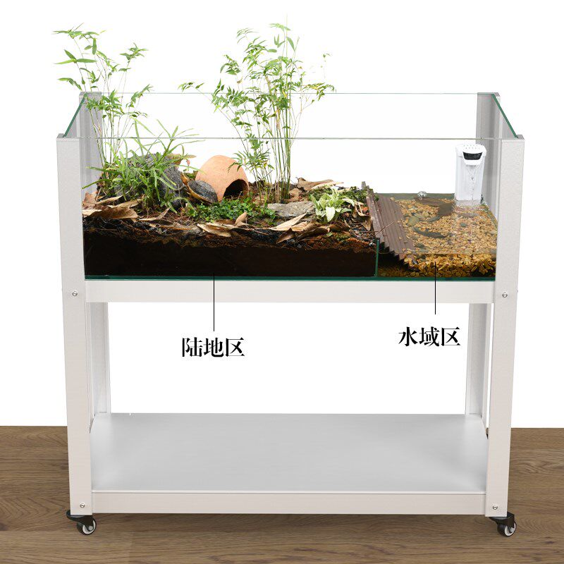 乌龟水陆饲养缸家用黄缘s闭壳半水龟专用造景箱生态缸绿植全套用