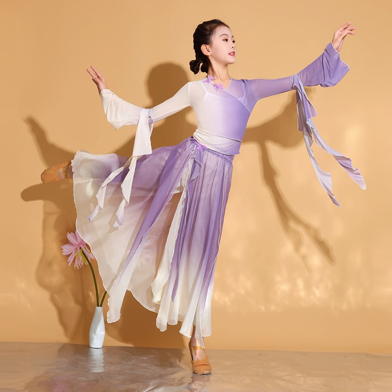 儿童古典舞蹈服飘逸蝴蝶纱衣身韵练D功服中国舞服装形体仙气演出