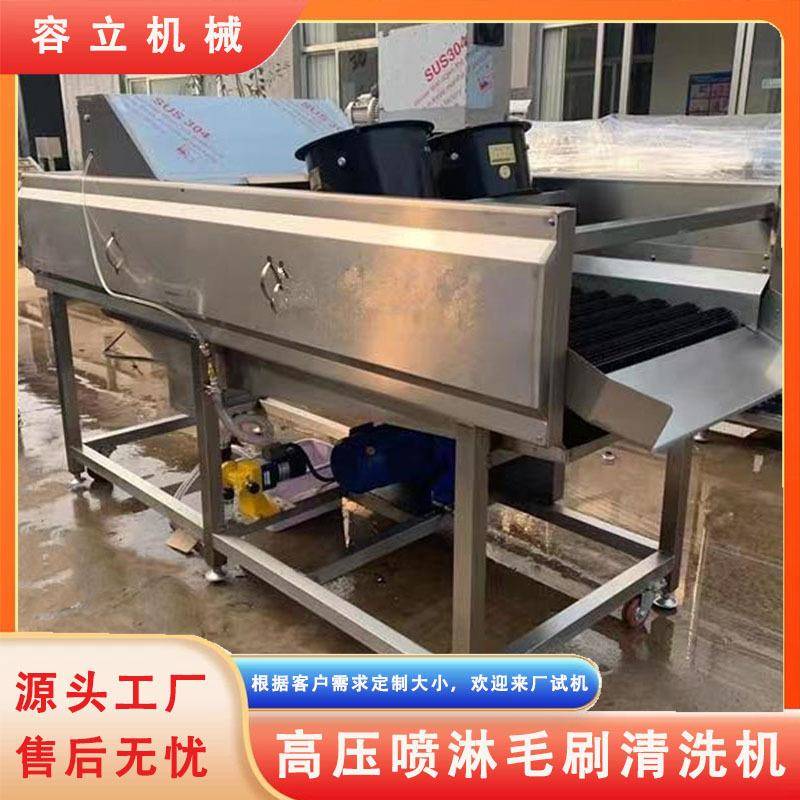 平行毛刷山楂清洗机喷淋式柑橘山药清洗去泥机平菇滑子菇清洗机