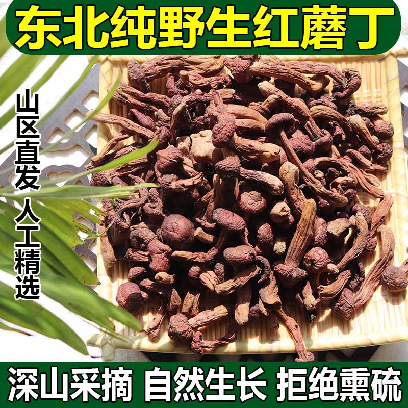 东北野生红蘑肉蘑蘑菇红蘑丁松伞蘑松树伞蘑菇特级干货炖鸡炒肉小