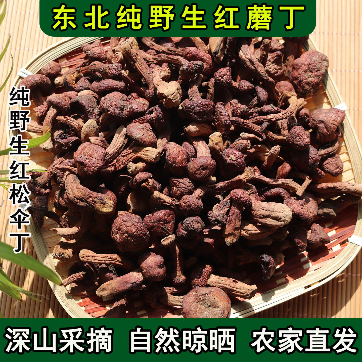东北野生红蘑肉蘑蘑菇红蘑丁松伞蘑松树伞蘑菇特级干货炖鸡炒肉小
