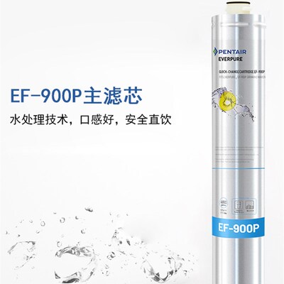 爱惠浦净水器全系列主滤芯I20002MC2BH2h100h104pbs400 900p4fc-s