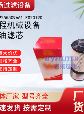 供应WG99255509661柴油滤芯工程机械设备滤芯FS20190