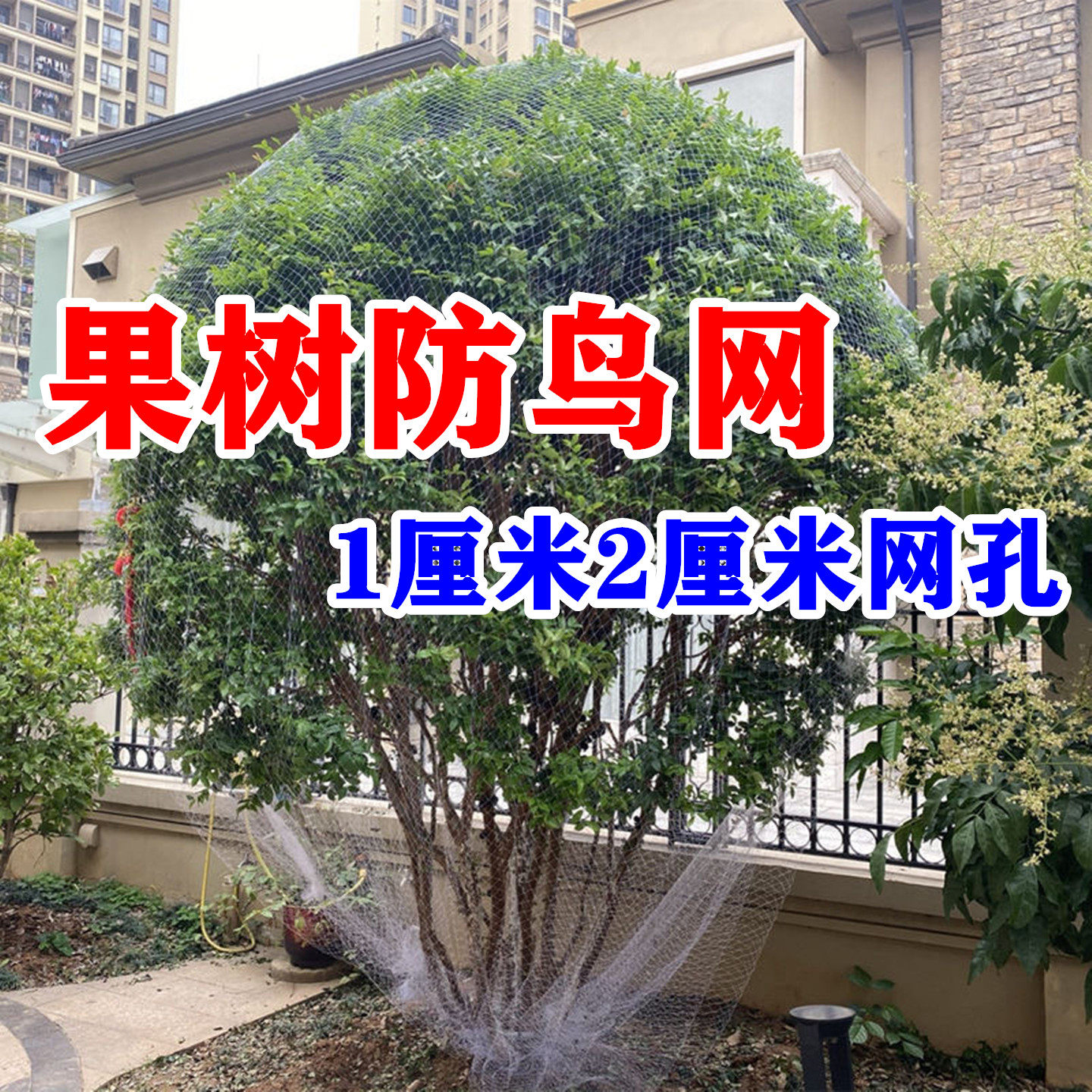 果树防鸟用的网樱桃树网嘉宝果树网桃树家用水果树网罩果树防鸟网
