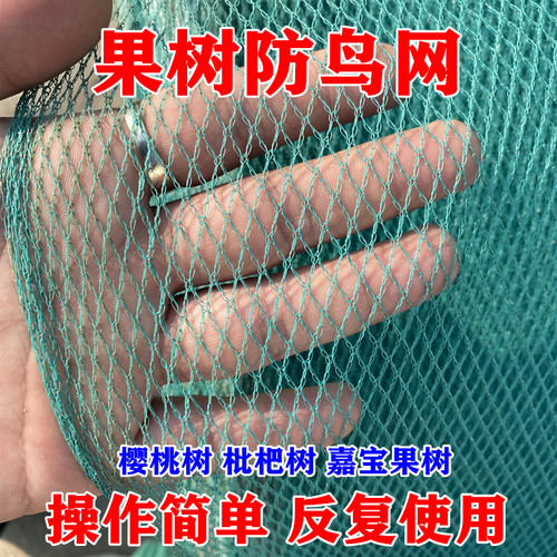 小网孔0.5厘米防鸟网可防冰雹网