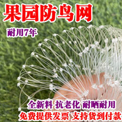 防鸟网尼龙樱桃葡萄梨树蓝莓果树果园防鸟用网青蛙养殖场鱼塘天网