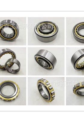 SL04 18-5 0 0 1 1 2 6 8 PP NNF5 0  1 2 6 8 0 ADA-2LS C V轴承