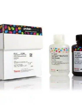 THERMO 34094 34096超敏底物SuperSignal West Femto