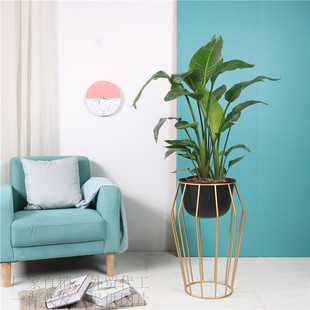 饰花盆金属创意款 铁艺花架支架植物架室内装 款 厂家直销北欧风格