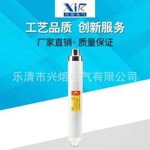 50A高压熔断器 24KV 63A 100A 兴熔 80A XRNT