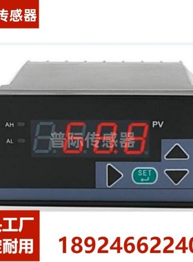 WP-C404-02-09-H2L数显控制仪 数字显示报警器