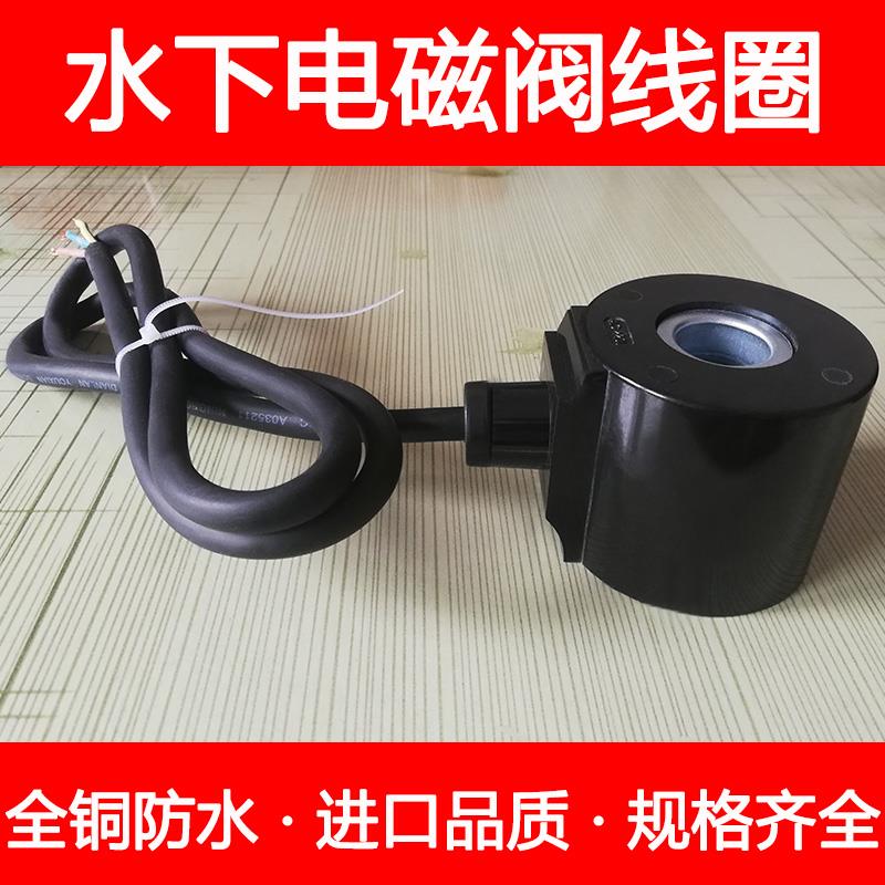 全铜水下喷泉防水电磁阀水阀线 线圈220v地埋式电磁控制阀开 关阀