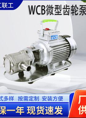 WCB微型齿轮油泵便携式手提油泵220V防爆家用齿轮油泵