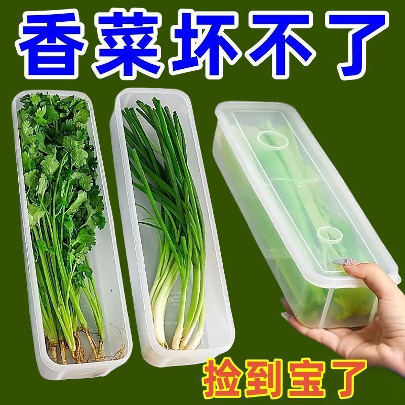 特惠】香菜小葱收纳盒冰箱芫荽整根保鲜神器加厚备菜盒
