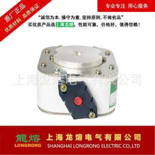 100kA銀片熔芯 快速熔斷器RSY AC250V 認(rèn)準(zhǔn) 1800A 龍