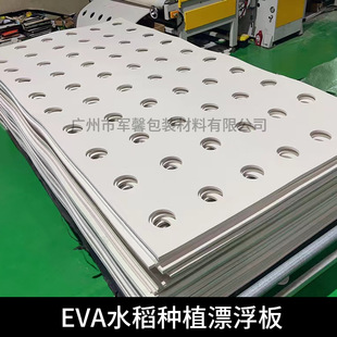 eva水培蔬菜定植板水稻种植漂浮板带孔种菜EVA种植板