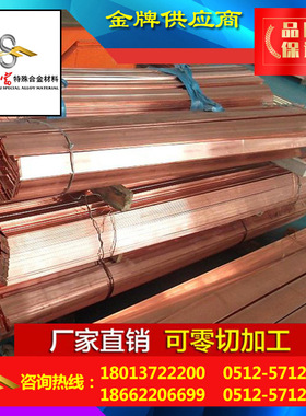 三富 厂家供应TU2无氧紫铜排T2紫铜排价格无氧紫铜紫铜排厂