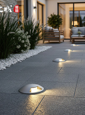 侧发光地埋灯龟壳灯嵌入式1W3W防水台阶步道不锈钢单透光龟背灯