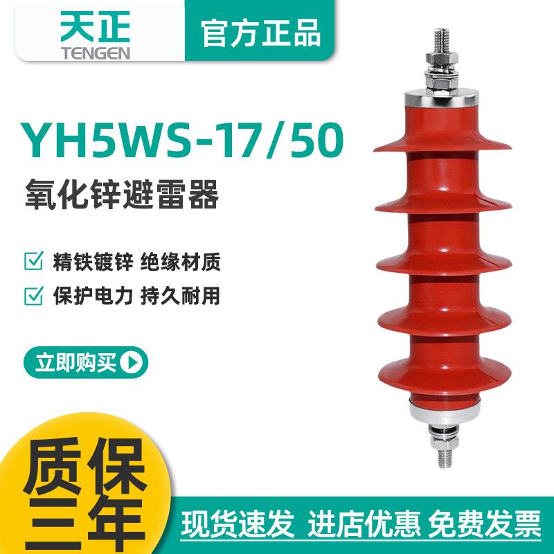 天正10KV高压配电型防雷器避雷器YH/HY5WS-17/50户外硅橡胶一体式