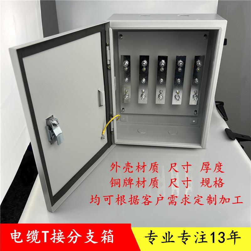 电缆铜排分支箱T接箱铜牌转换箱分接箱梯形铜排箱楼层T接端子箱
