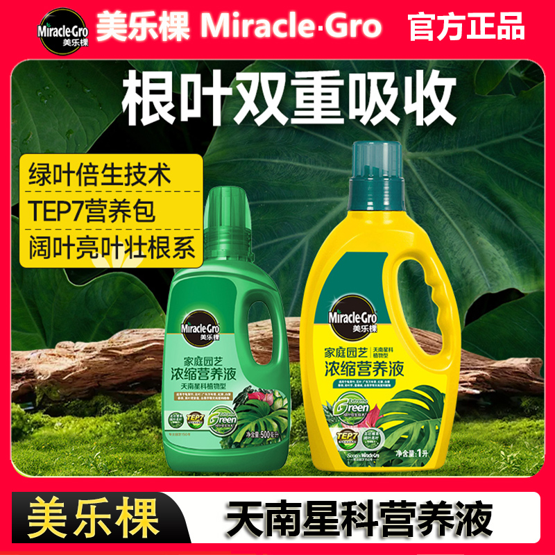美乐棵龟背竹专用营养液观叶植物海芋天南星科土绿植室内盆栽肥料