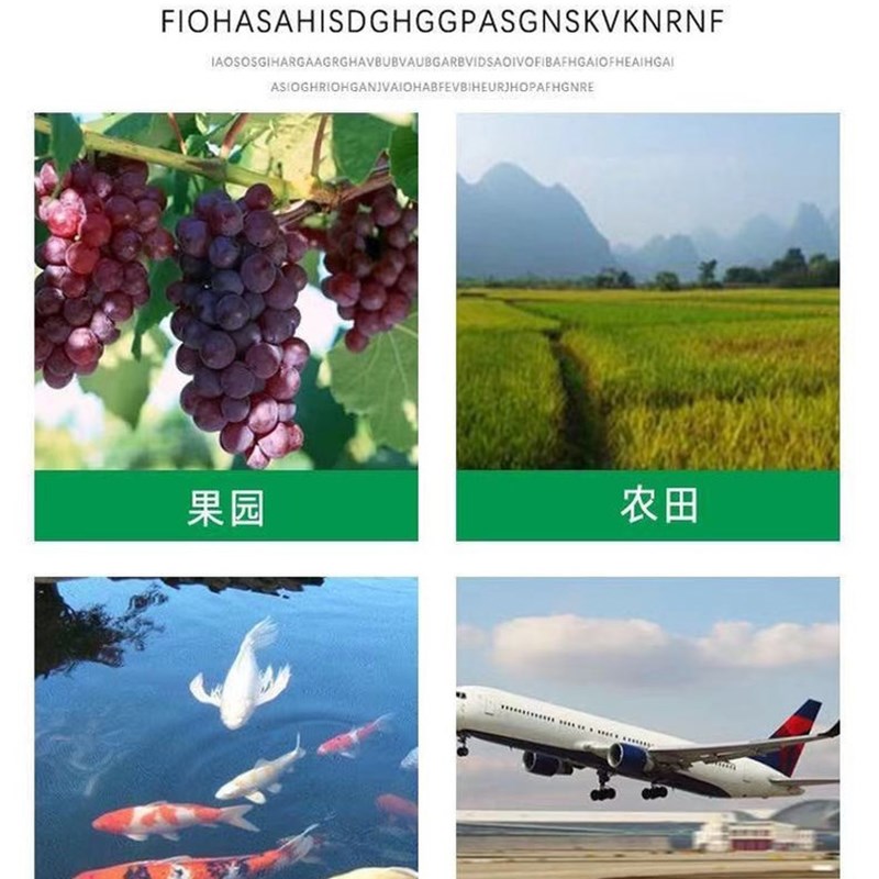 果园5.0孔防鸟网尼龙网草w莓樱桃大棚鱼塘鱼池天网防鸟网防护养殖