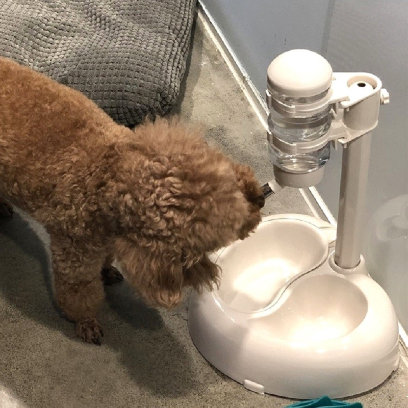 狗狗挂式水壶自动饮水器立式w喂水不湿嘴猫咪喝水喂食泰迪宠物用