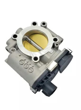 节气门 24103943 24113040 F01R00Y061