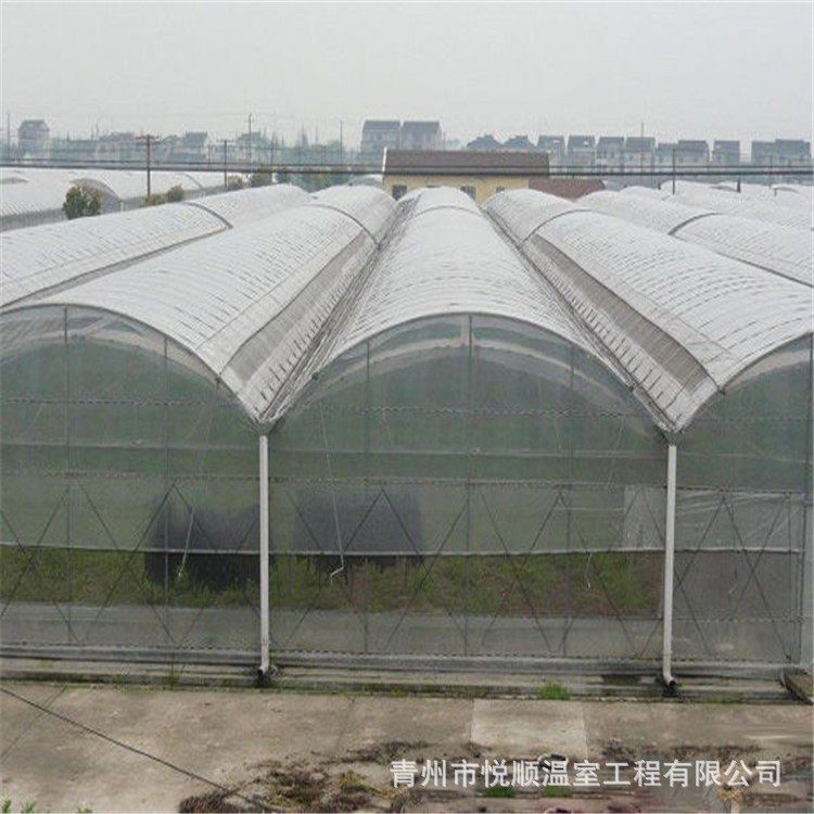 连栋温室花卉大棚 花卉育苗连栋大棚 温室工程大棚骨架,模玩/动漫/周边/娃圈三坑/桌游,文化/体育周边,淘宝优惠券,粉丝福利购,淘宝优惠卷