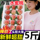 时令应季 山西春雪水蜜桃子当季 新鲜水果蟠黄油血超甜脆毛桃脆红桃