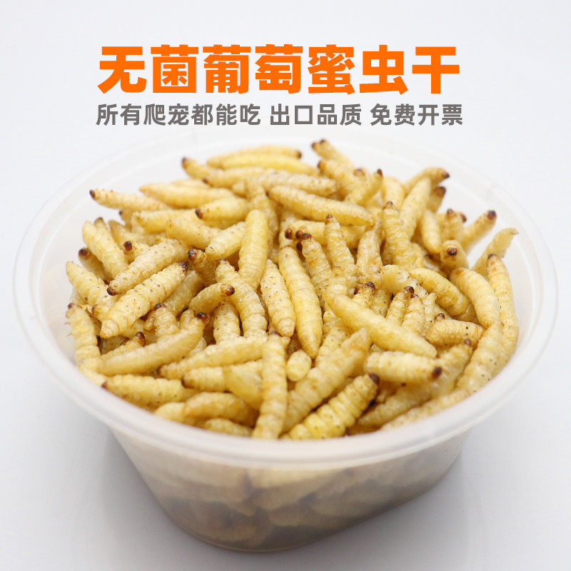 无菌葡萄蜜虫干包玉米虫干守宫鬃狮蜥蜴乌龟蜜袋鼯角Y蛙粮食物昆