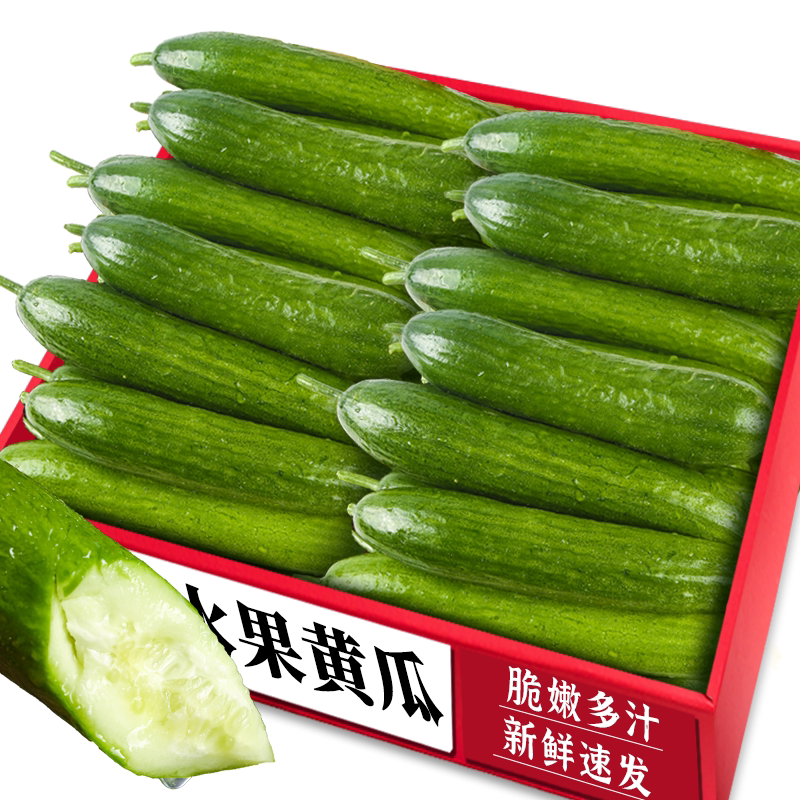 新鲜水果黄瓜!5A级品质!精选