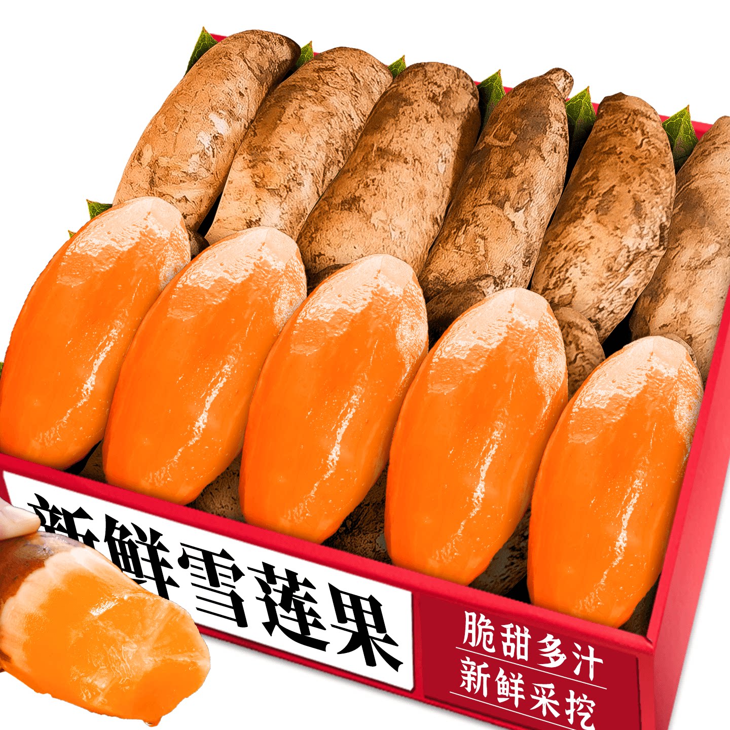 农家雪莲果!产地直发!美味好吃