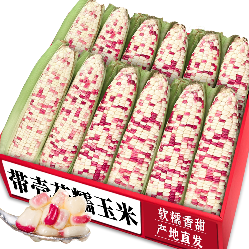新鲜花糯玉米!老农现掰新鲜直达