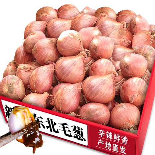 东北毛葱头特产小葱头力荐